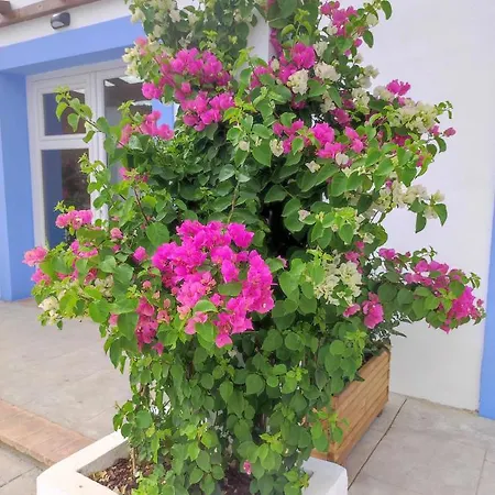 Atenea Apartamento