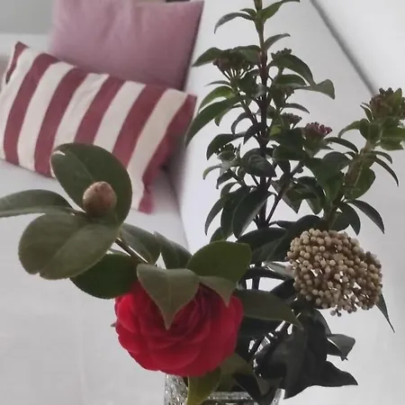 Atenea Apartament Jerte