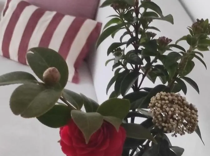 Atenea Apartment Jerte